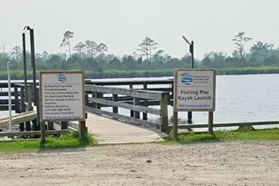 1306 Caracara Dr, New Bern, NC 28560 - Photo 30