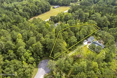 178 Marsh Run, Oriental, NC 28571 - Photo 2
