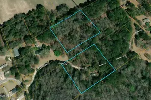 0 Off Sr 1311, Washington, NC 27889 - Photo 1