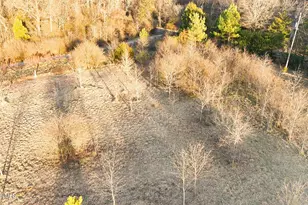 436 Hanner Town Rd, Bear Creek, NC 27207 - Photo 26