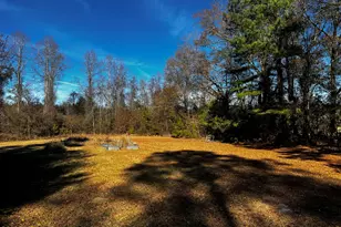 688 Georgia Pacific Rd, Whiteville, NC 28472 - Photo 44