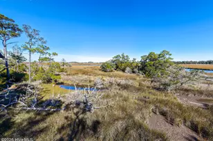 315 N Bald Head Wynd, Bald Head Island, NC 28461 - Photo 4