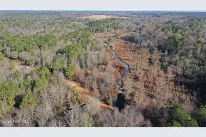 Tbd Moon Johnson Road, Roseboro, NC 28382 - Photo 2