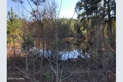 316 Old Cheraw Highway, Rockingham, NC 28379 - Photo 1