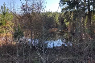 316 Old Cheraw Hwy, Rockingham, NC 28379 - Photo 1