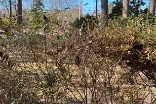 206 Waldrop Rd, Dudley, NC 28333 - Photo 48