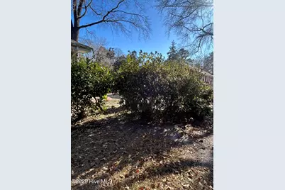 206 Waldrop Road, Dudley, NC 28333 - Photo 50