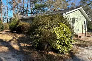 206 Waldrop Rd, Dudley, NC 28333 - Photo 46