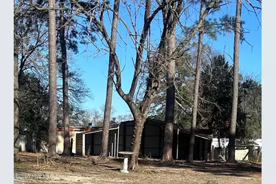 206 Waldrop Road, Dudley, NC 28333 - Photo 42