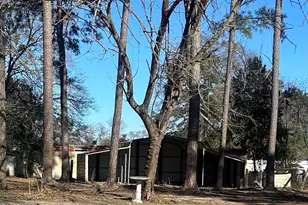 206 Waldrop Rd, Dudley, NC 28333 - Photo 42