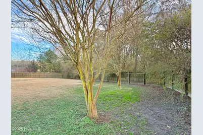 207 Dogwood Estates Lane, Goldsboro, NC 27534 - Photo 10