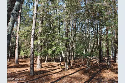 3508 Fairway Crest Drive SW, Shallotte, NC 28470 - Photo 4