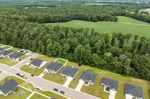 2653 Brittia Ln, Winterville, NC 28590 - Photo 48