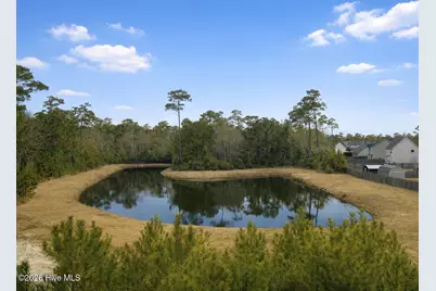 316 Landon Lane, Sneads Ferry, NC 28460 - Photo 4