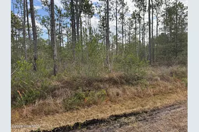 Lot 22 Pepperhill Road, Southport, NC 28461 - Photo 6
