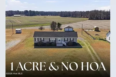 461 Ralph Dail Road, Mount Olive, NC 28365 - Photo 1