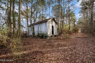 1249 Fann School Rd, Salemburg, NC 28385 - Photo 34