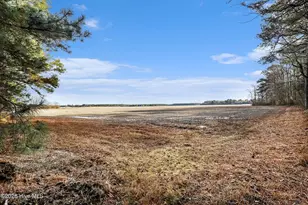 1249 Fann School Rd, Salemburg, NC 28385 - Photo 38