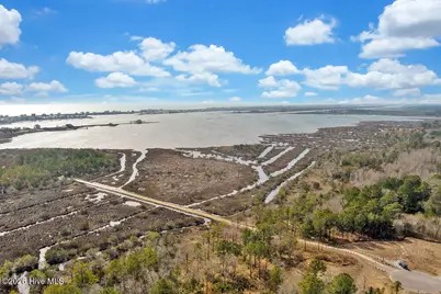 806 Ring Bill Court #Lot 342, Sneads Ferry, NC 28460 - Photo 58