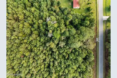 Tbd Gurganus Road, Maple Hill, NC 28454 - Photo 16