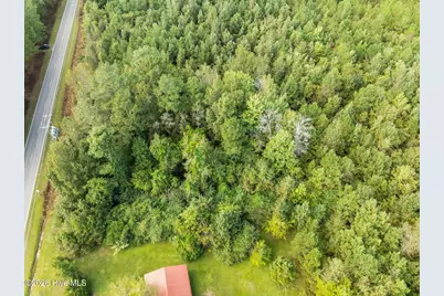 Tbd Gurganus Road, Maple Hill, NC 28454 - Photo 6