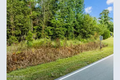 Tbd Gurganus Road, Maple Hill, NC 28454 - Photo 2