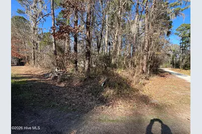 Lot #49&50 Cottonwood Drive, Blounts Creek, NC 27814 - Photo 4