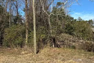 547 Mosley St, Wilmington, NC 28405 - Photo 1