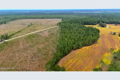 10.57 Ac Egypt Road NW, Ash, NC 28420 - Photo 4