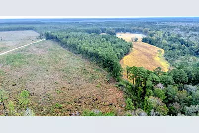 10.57 Ac Egypt Road NW, Ash, NC 28420 - Photo 12
