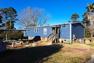 9701 Penderlea Hwy, Willard, NC 28478 - Photo 4