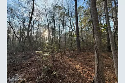 0 Carolina 410, Bladenboro, NC 28320 - Photo 26