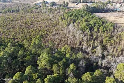 0 Carolina 410, Bladenboro, NC 28320 - Photo 40