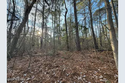 0 Carolina 410, Bladenboro, NC 28320 - Photo 30