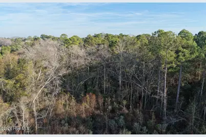 0 Carolina 410, Bladenboro, NC 28320 - Photo 34