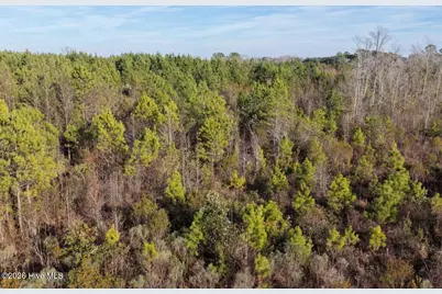 0 Carolina 410, Bladenboro, NC 28320 - Photo 36