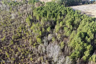 0 Carolina 410, Bladenboro, NC 28320 - Photo 32