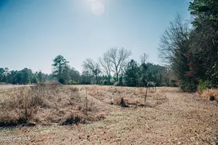 2377 Lyon Landing Rd, Elizabethtown, NC 28337 - Photo 20