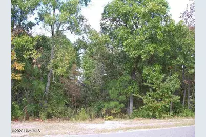 146 Cardinal Lane, West End, NC 27376 - Photo 1
