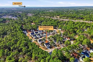 3927 Pepperberry Ln SE, Southport, NC 28461 - Photo 56