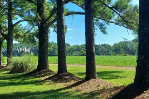 142 Jordans Ln, Beaufort, NC 28516 - Photo 4