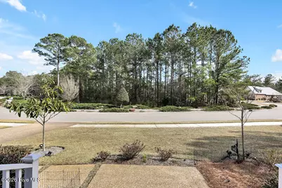 1090 Evangeline Drive, Leland, NC 28451 - Photo 6