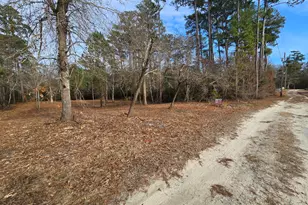 328 Ace Ln, Swansboro, NC 28584 - Photo 1