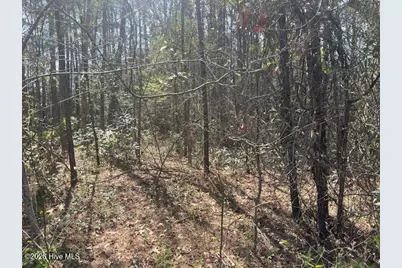 1894 Sunset Cove Drive SE, Bolivia, NC 28422 - Photo 4