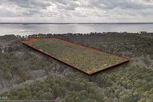 2162 Old Pamlico Beach Rd W, Belhaven, NC 27810 - Photo 1