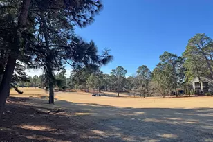 10 Pine Tree Rd, Pinehurst, NC 28374 - Photo 18