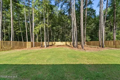 309 Elijah Way, Vass, NC 28394 - Photo 48