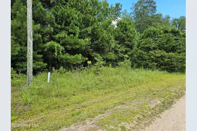 Lot 7 Powell Lane, Loris, SC 29569 - Photo 1