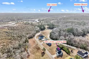 325 Levies Lndg SW, Supply, NC 28462 - Photo 58
