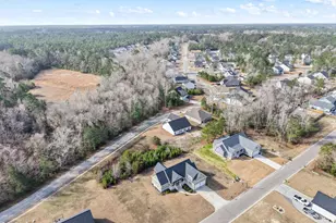 325 Levies Lndg SW, Supply, NC 28462 - Photo 56